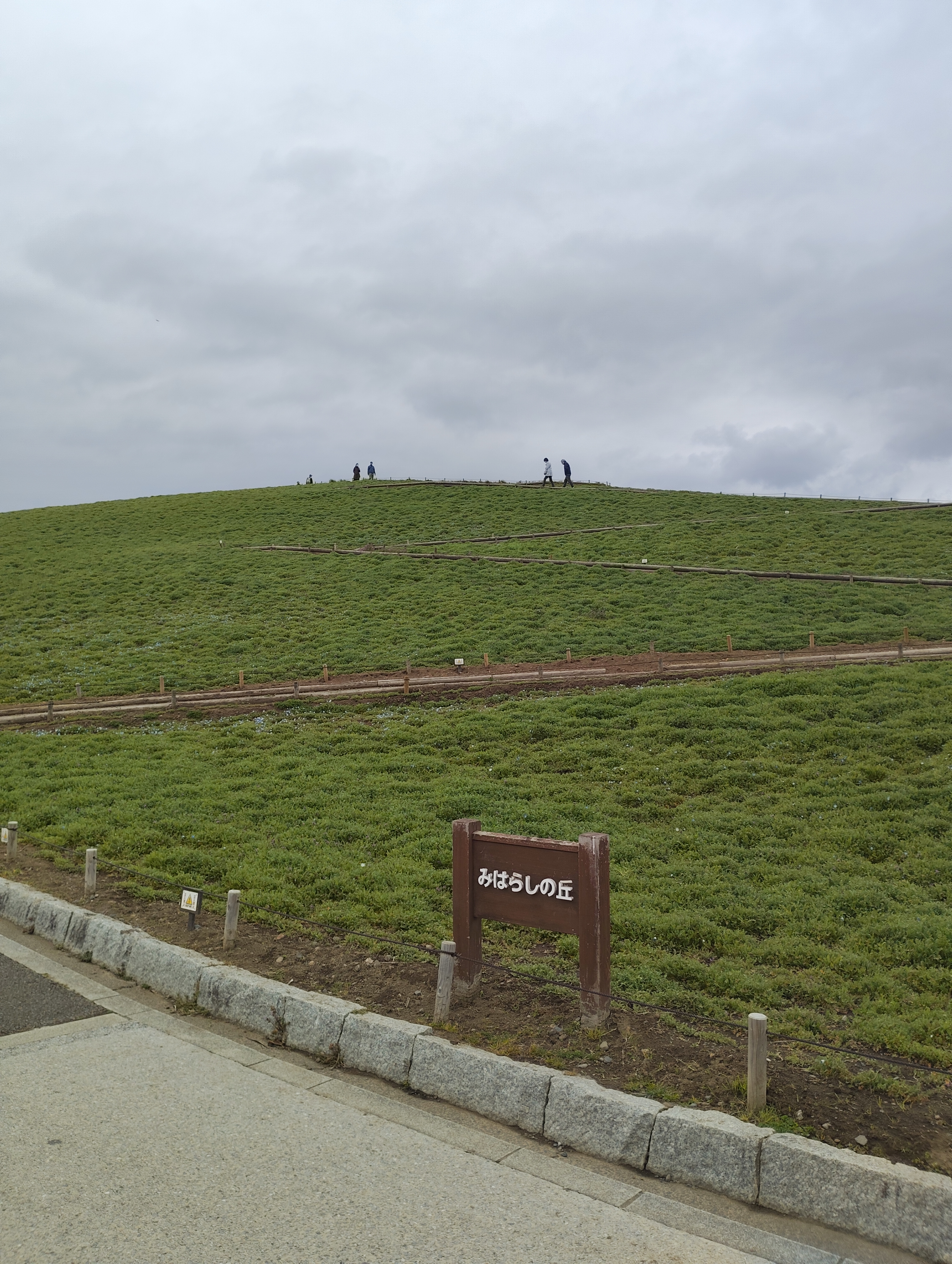 3月のみはらしの丘。花々はまばらに咲いている。